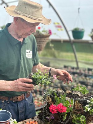 Richard Making Wire Hanging Basket 31 300X400 at Essington Farm