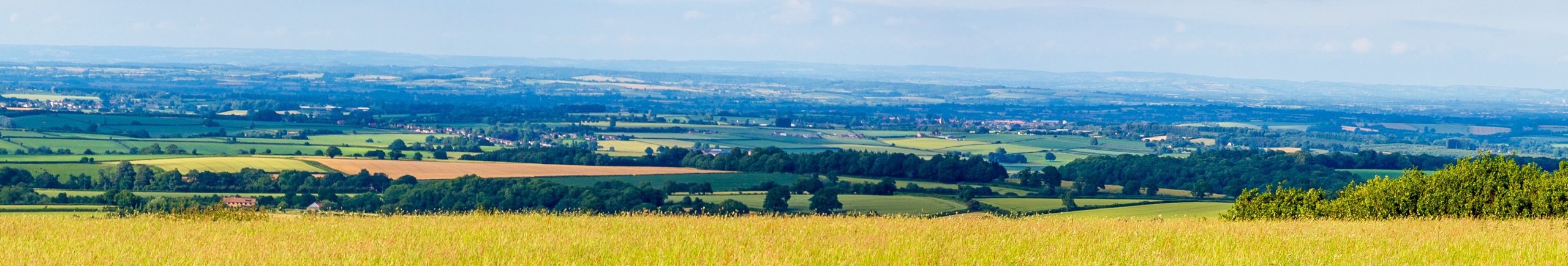 Farm Scaled at Essington Farm