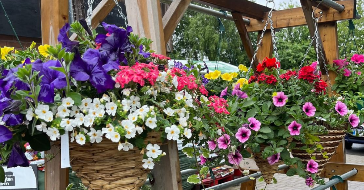 Hanging Baskets at Essington Farm