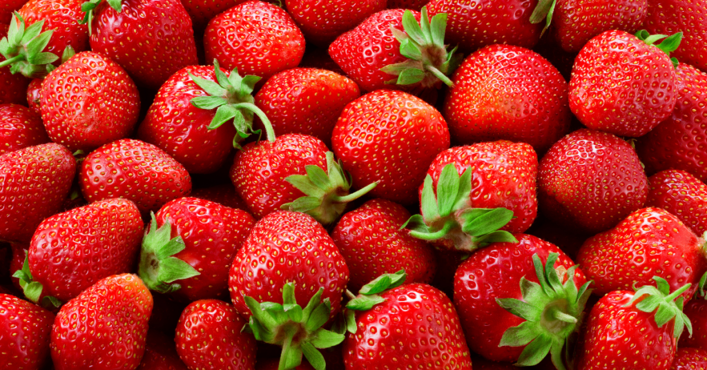Strawberries 1 1024X536 at Essington Farm