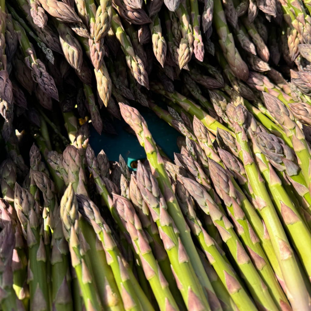 Simply Cooked Local Asparagus